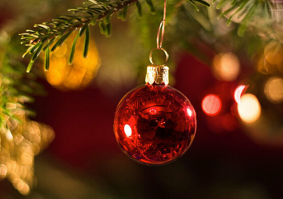 St. Thomas More PTU - Family Ornament Painting