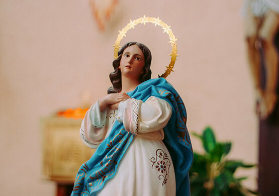 Mass for the Immaculate Conception (8:15am)