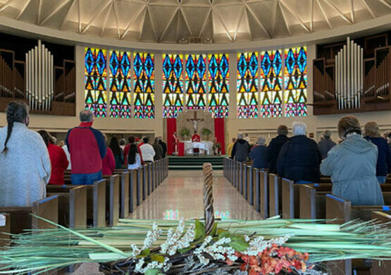 Palm Sunday Mass (11am)