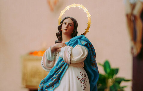 Mass for the Immaculate Conception (8:15am)