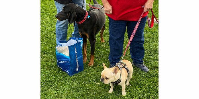 Pets blessed in honor of St. Francis